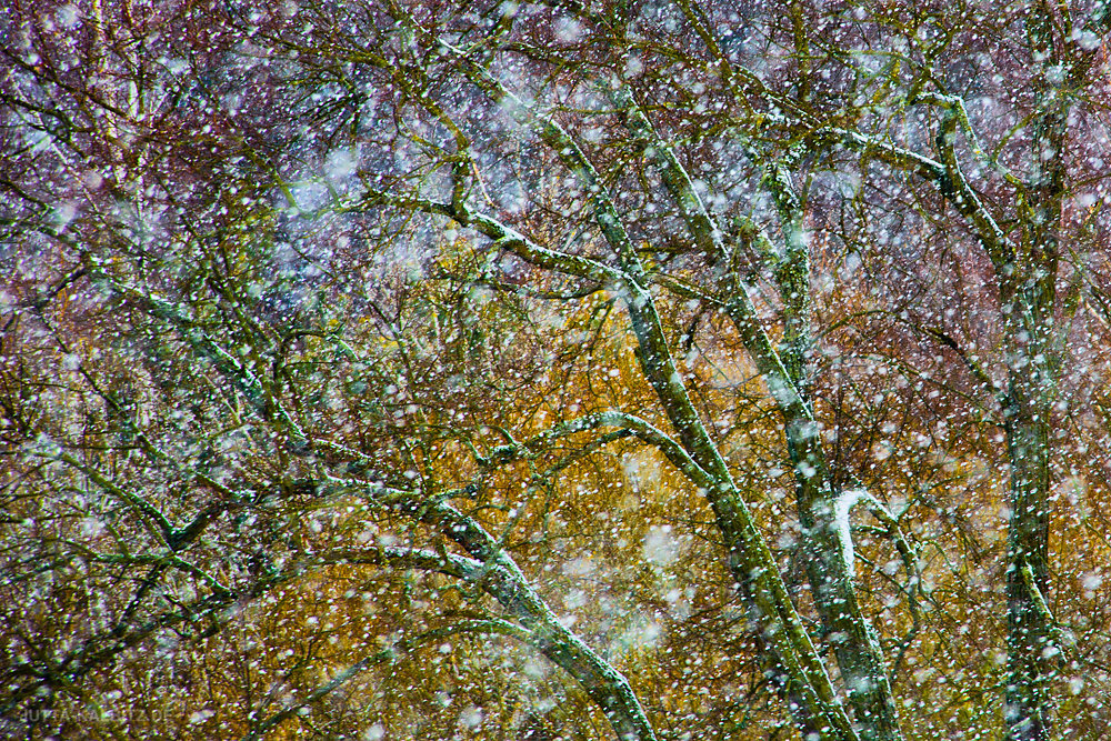 Schnee im Frühling