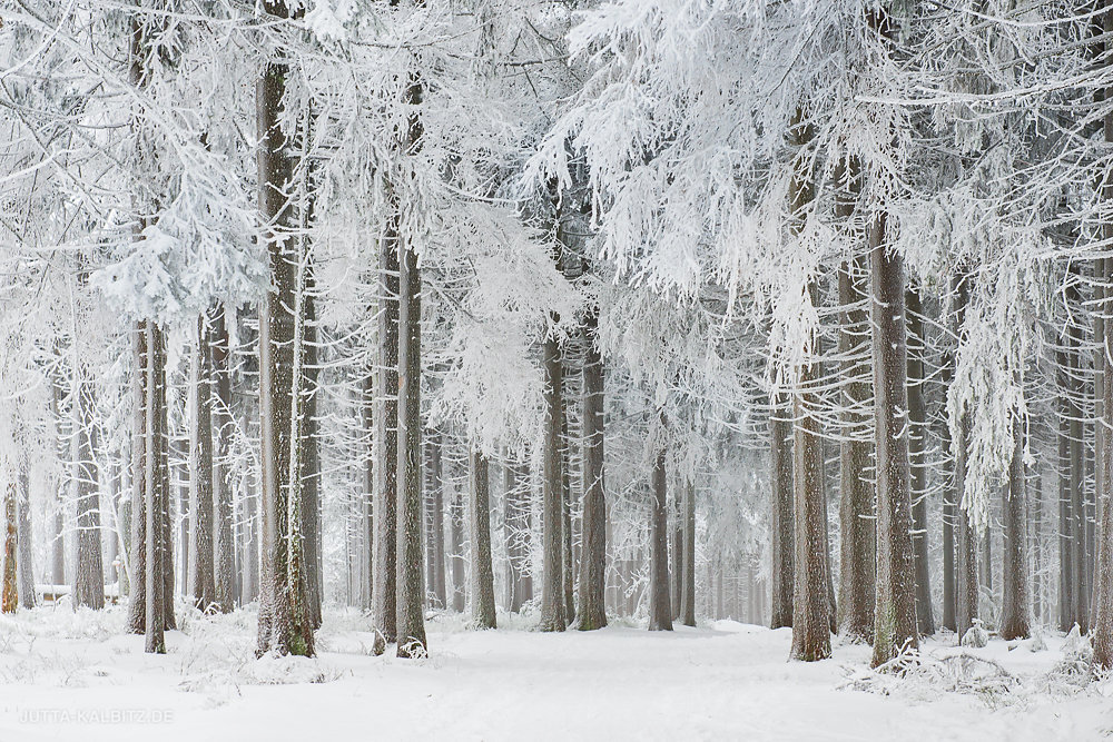 Winter am Achtermann - Hochharz