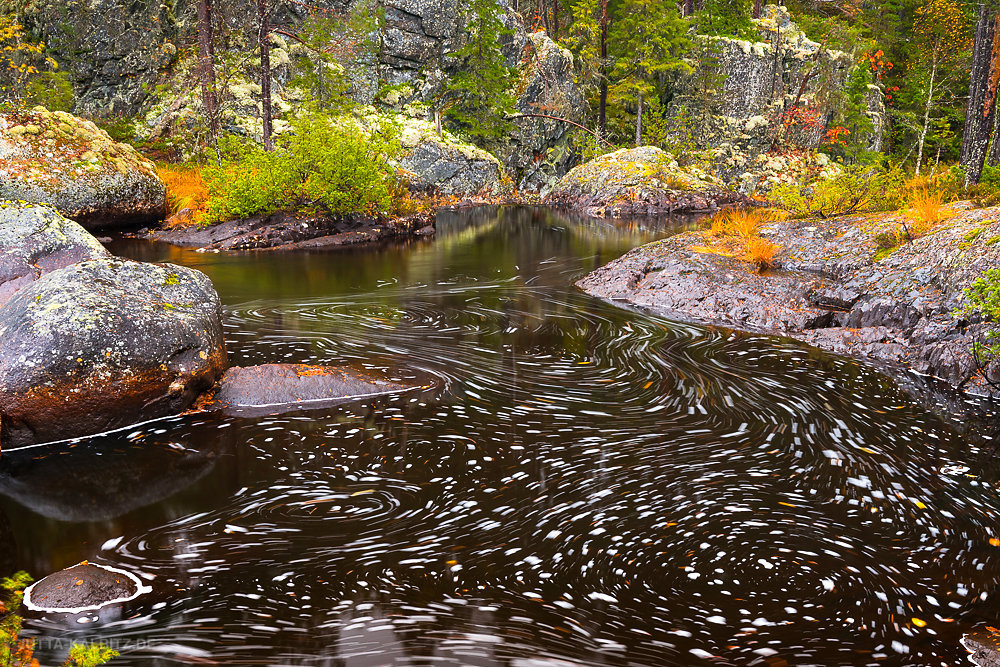 Hamra Nationalpark Jutta Kalbitz
