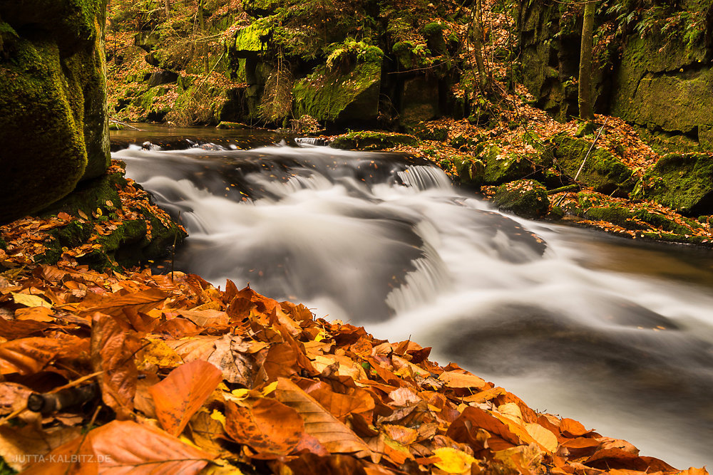 Im Kirnitzschtal - Sächsische Schweiz