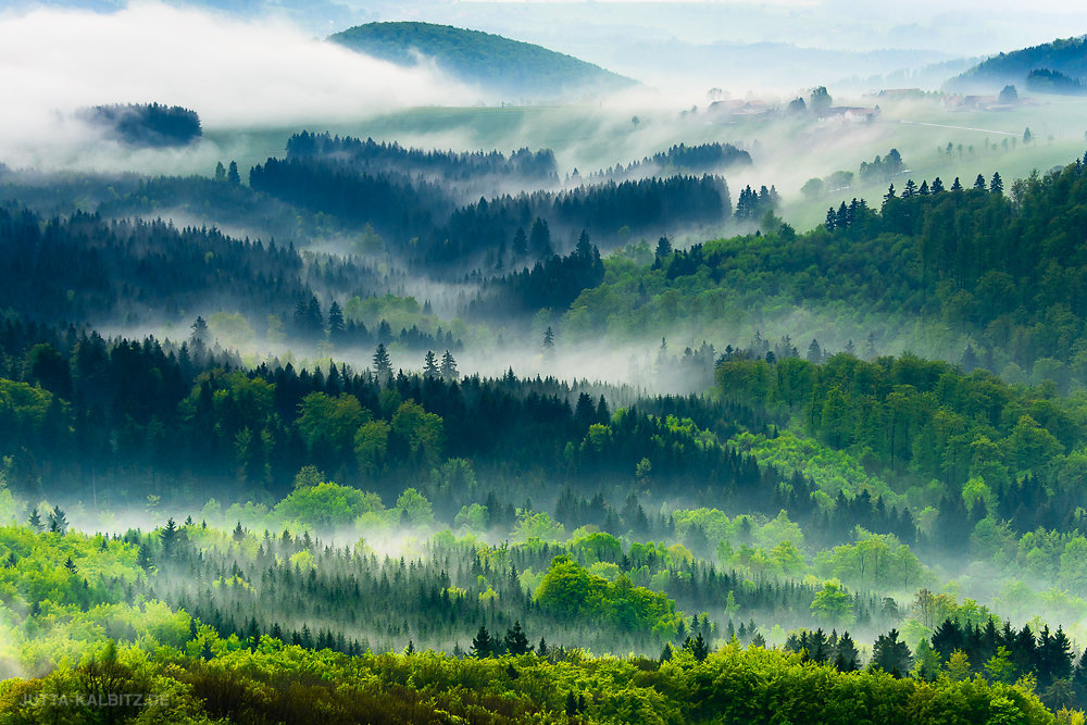 Nach dem Frühlingsgewitter - Rhön