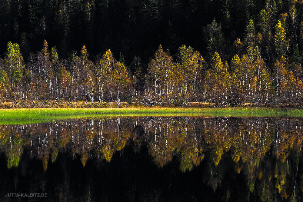 Norwegen-2019-2.JPG