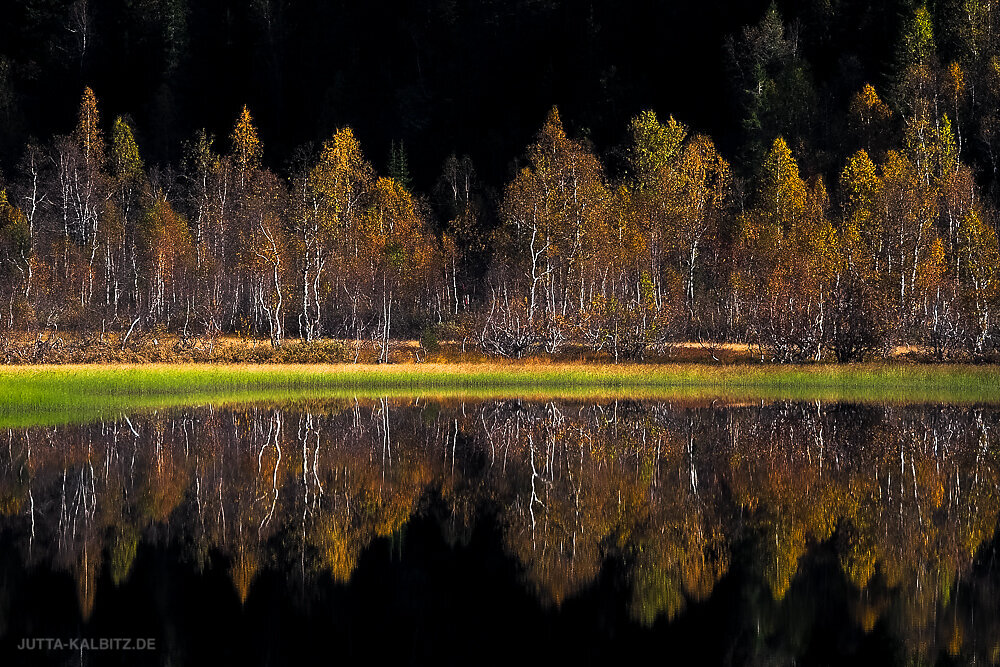 Herbst am See