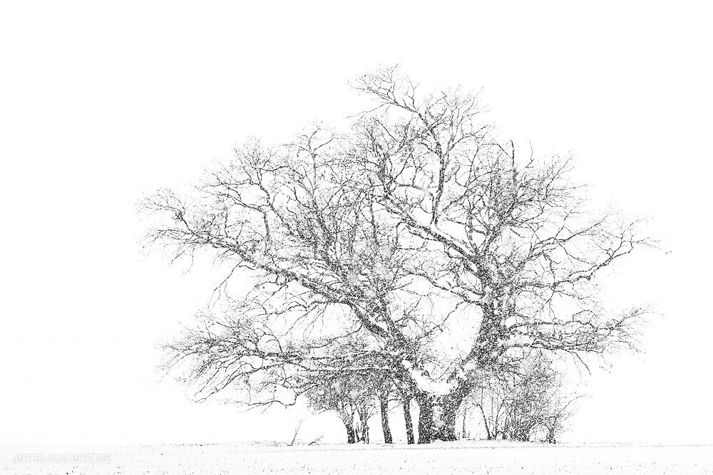 Winter am Stadtrand